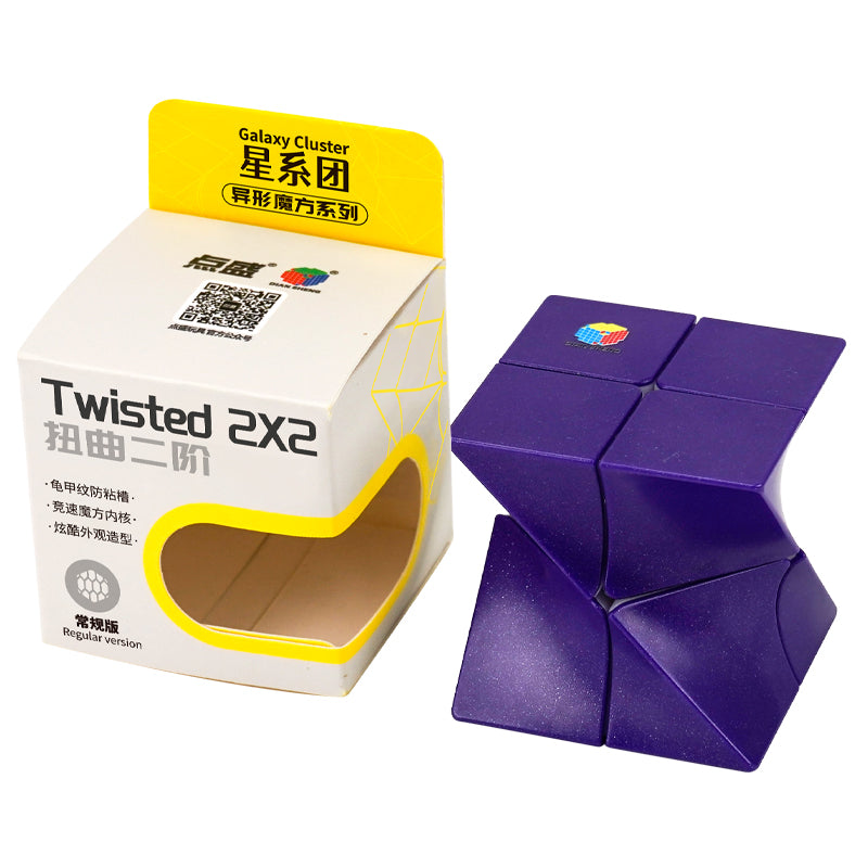 DianSheng Twisted 2x2 – TheCubicle