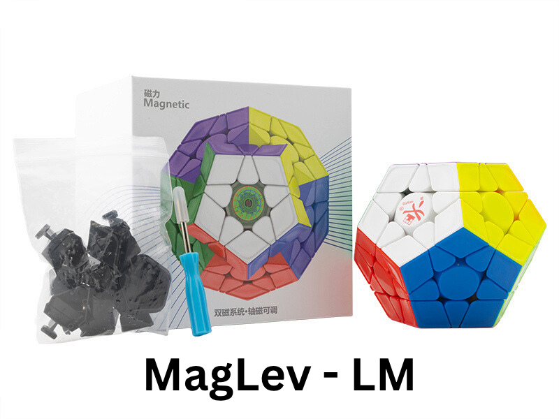 megyu DaYan Megaminx Pro+ LM (MagLev) – TheCubicle