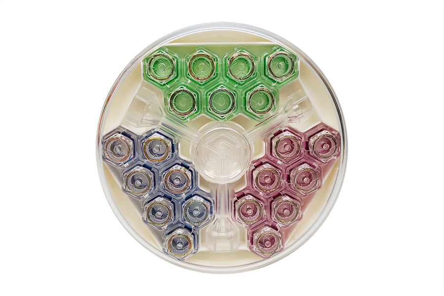 GAN GES V3 Set (Blue, Green, Purple)