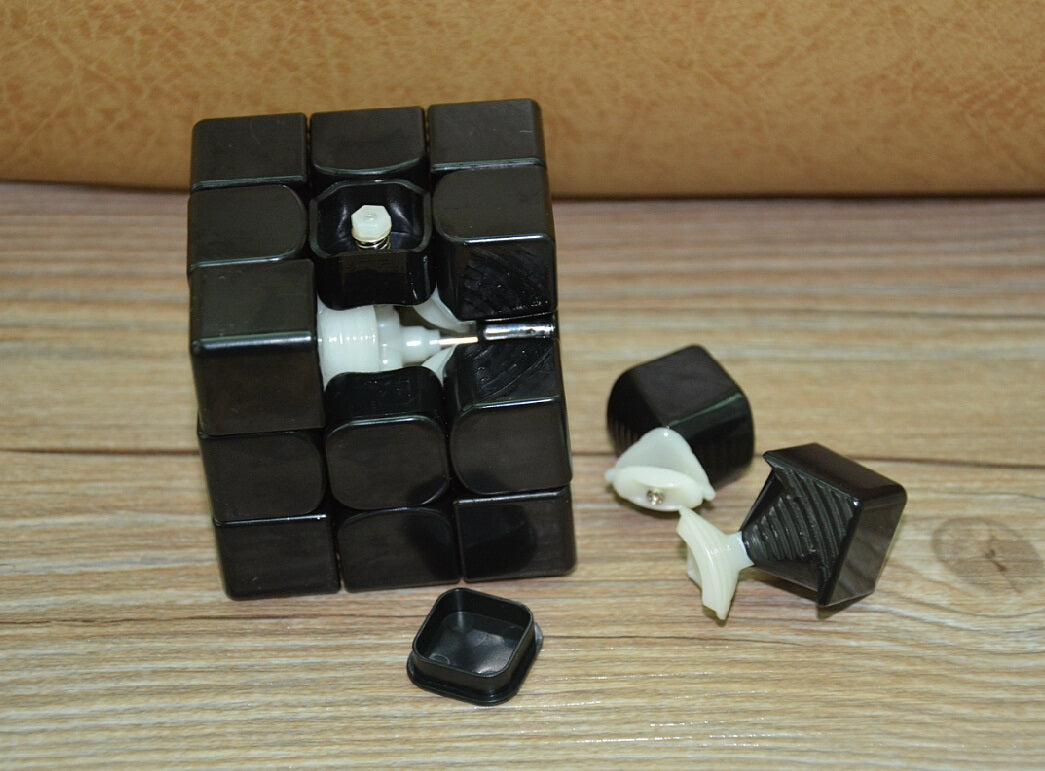 Gans 356S - Unstickered