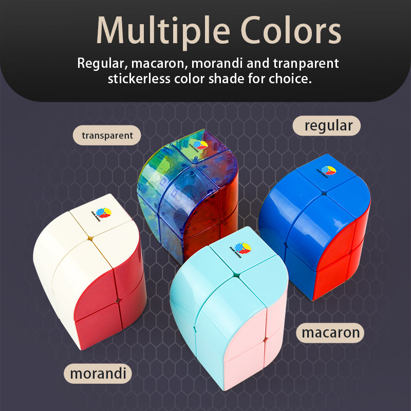 DianSheng Galaxy Penrose 2x2