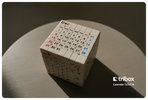 ZCube + Tribox Calendar 7x7 (Magnetic)