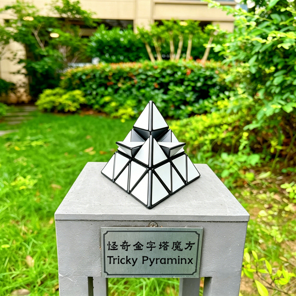 ZePuzzles Tricky Pyraminx