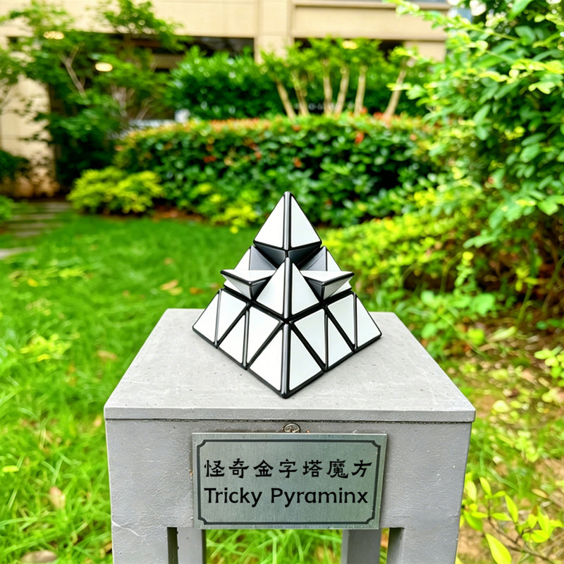 ZePuzzles Tricky Pyraminx