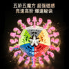 ShengShou Gigaminx V3