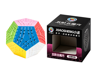 ShengShou Gigaminx V3