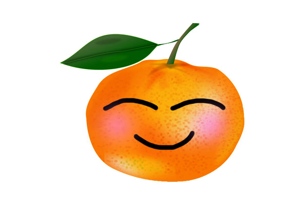 The Orange Side Logo - 3x3/C